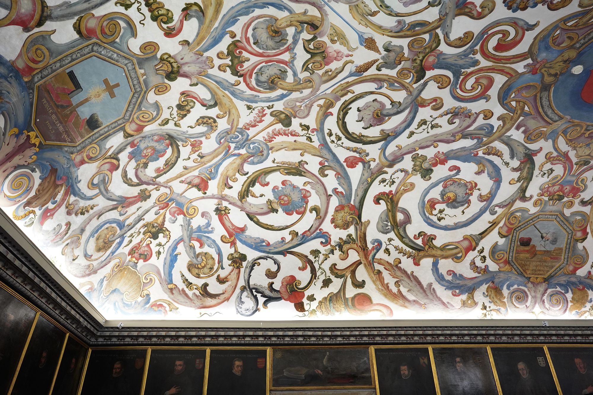 Coimbra Walk I (71)