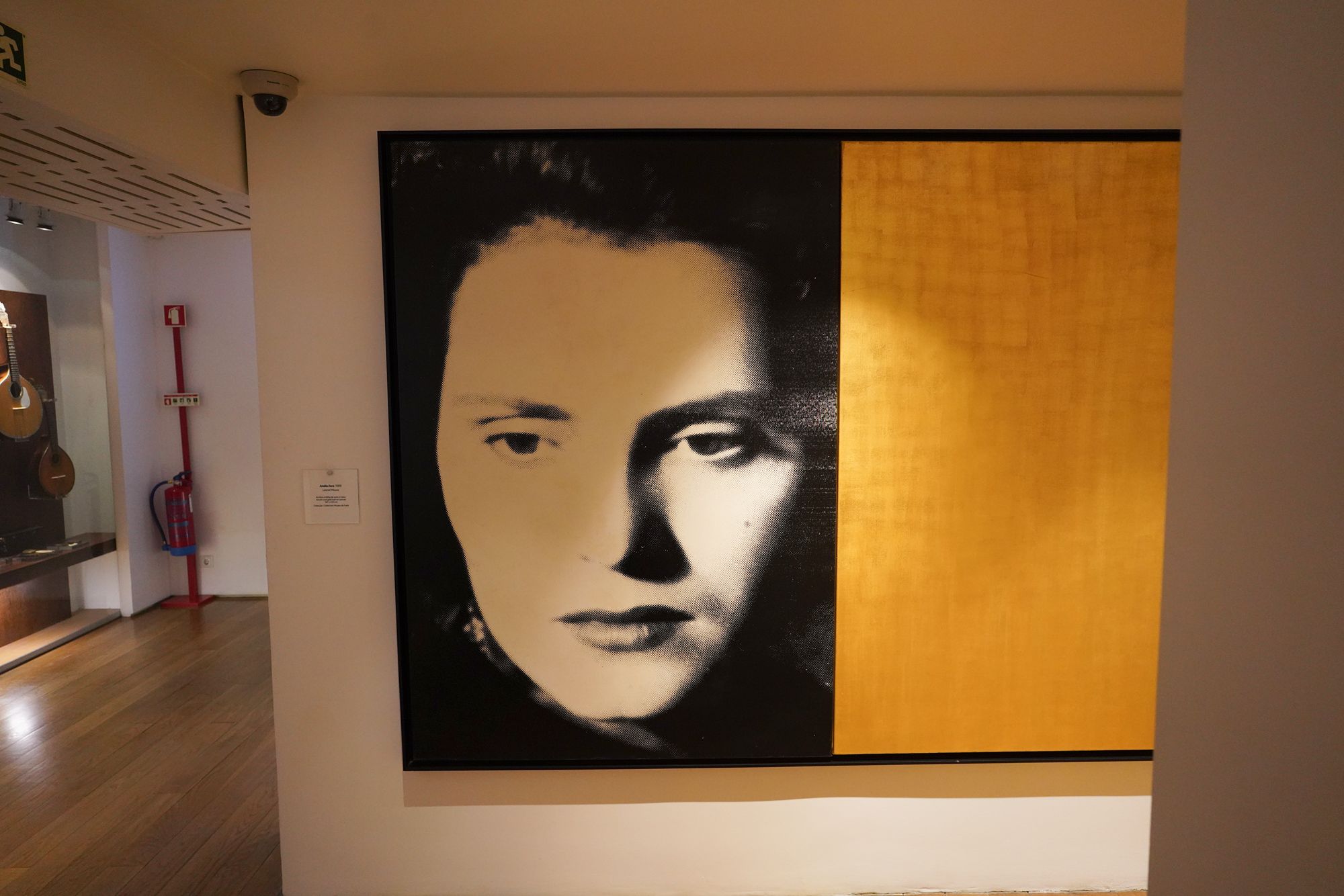 Fado Museum (32)