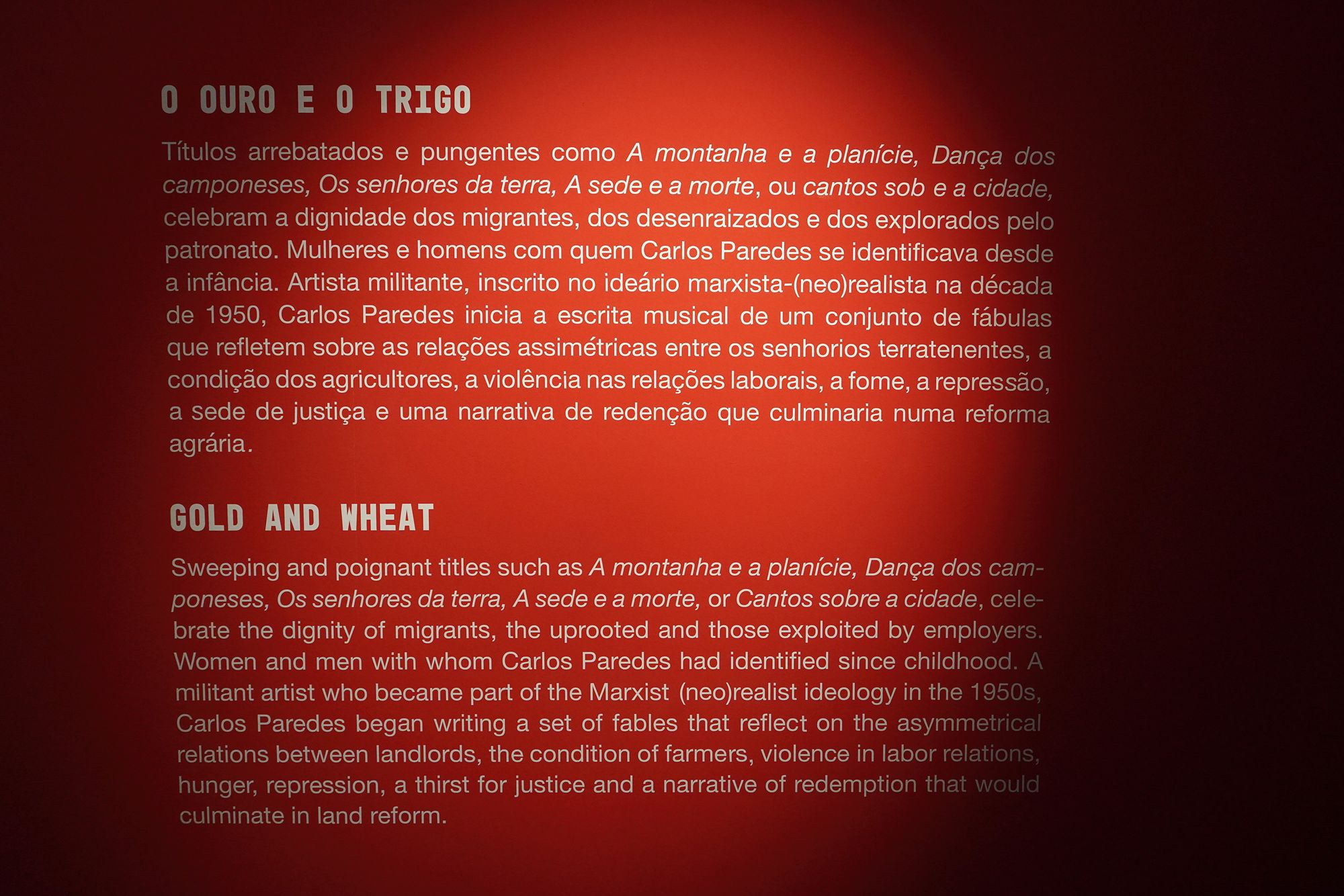 Fado Museum (47)