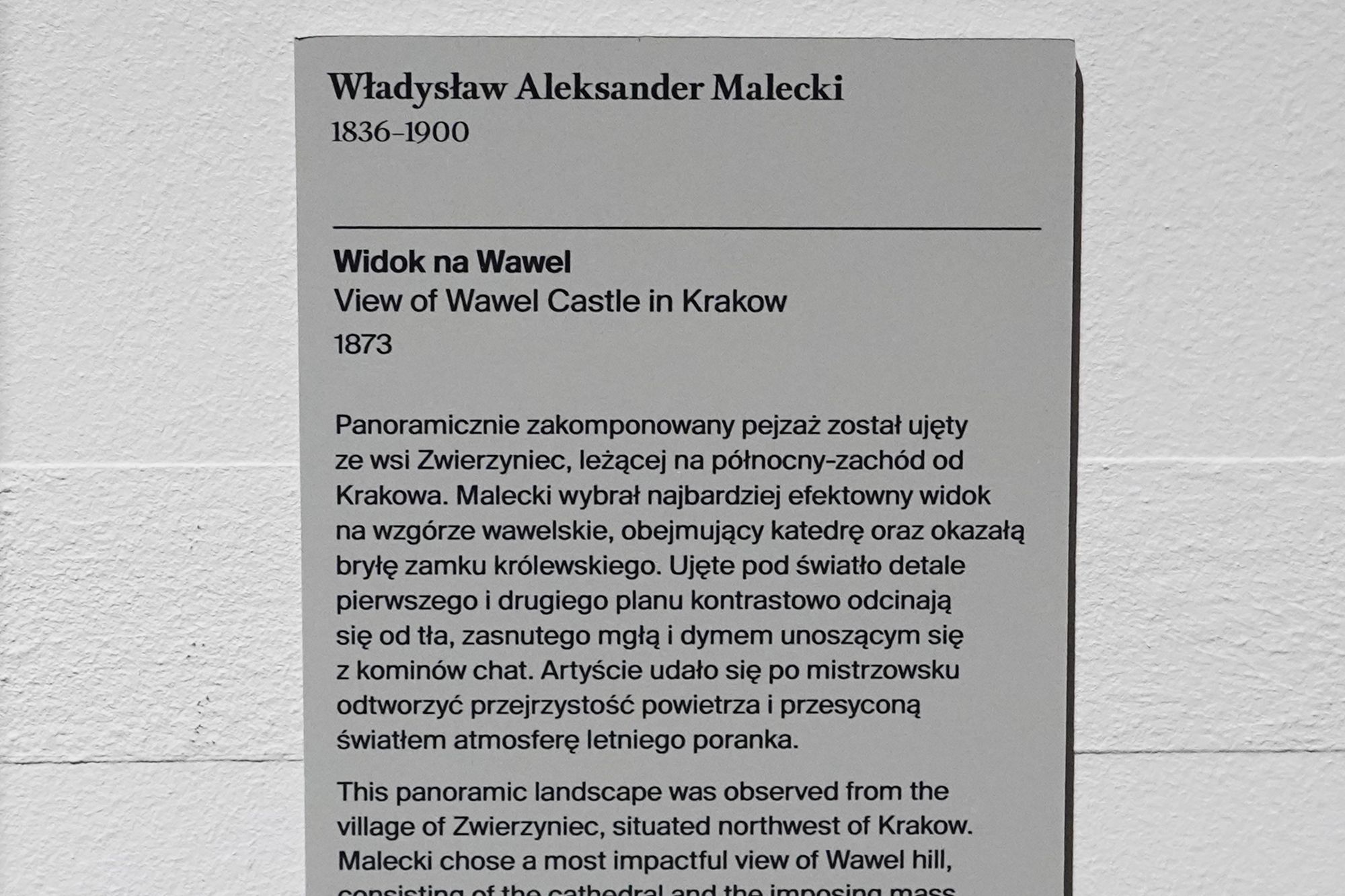 Polish National Museum in Warsaw I (38)