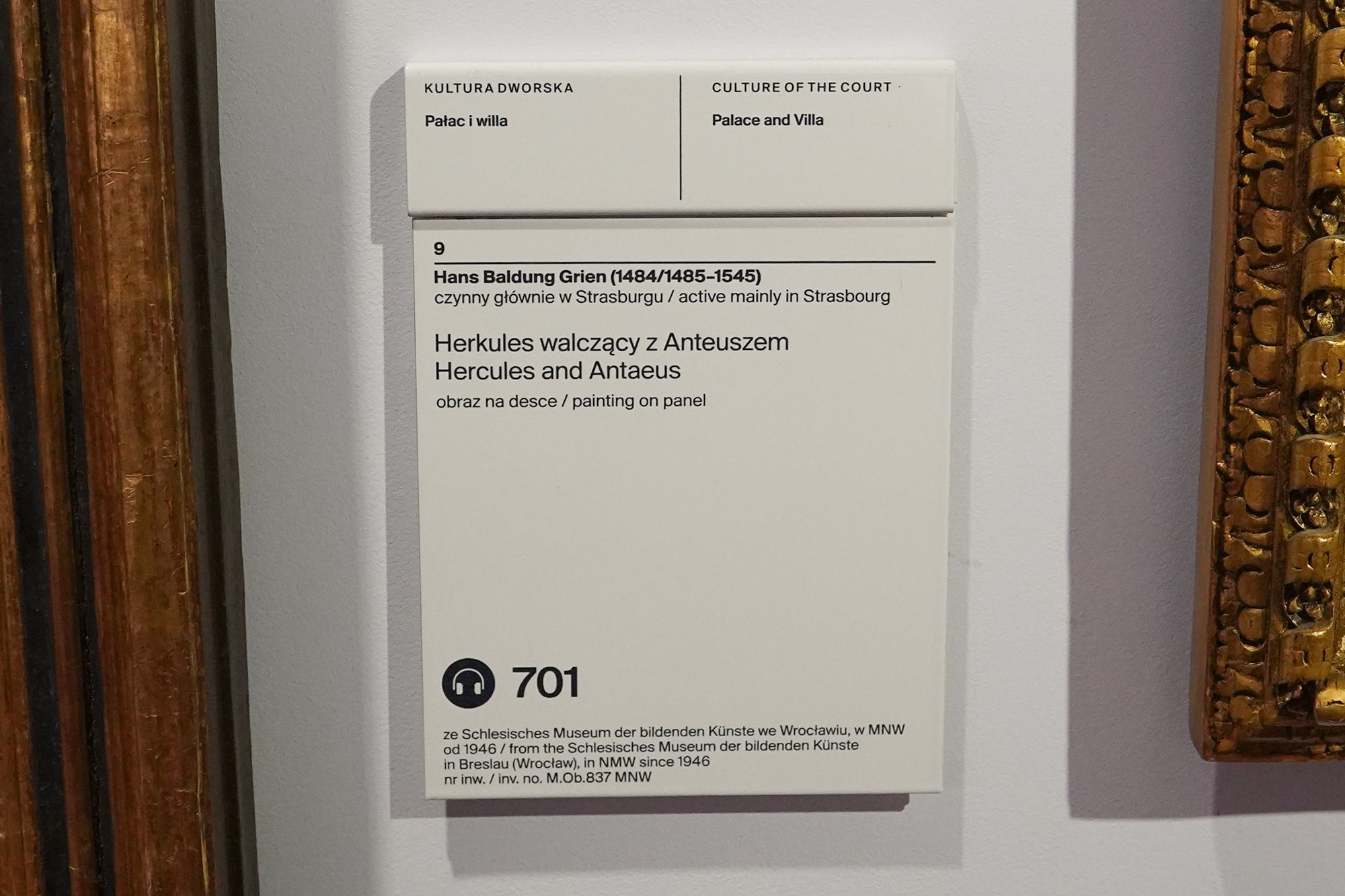 Polish National Museum in Warsaw II (147)