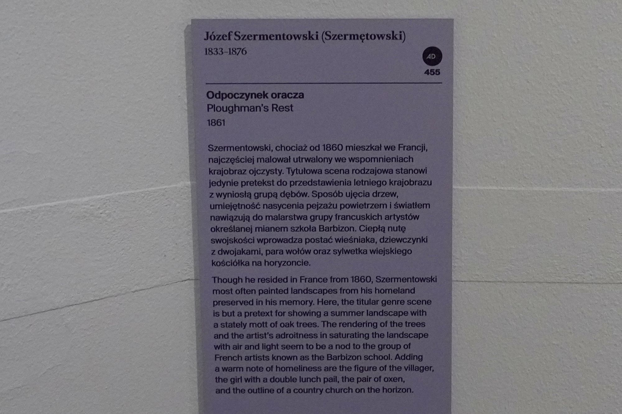 Polish National Museum in Warsaw II (16)