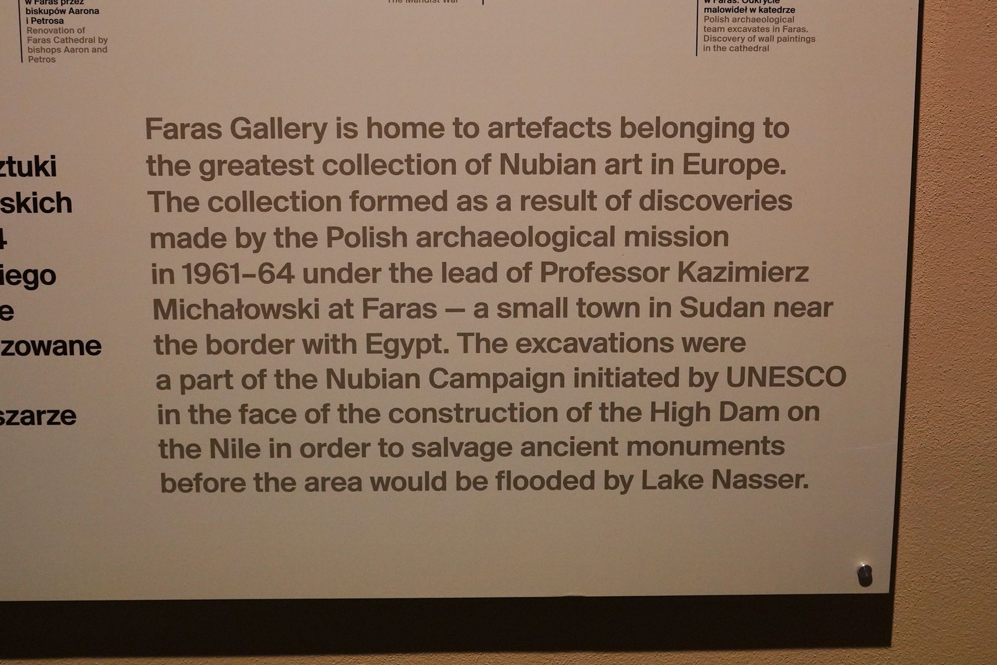 Polish National Museum in Warsaw III (100)