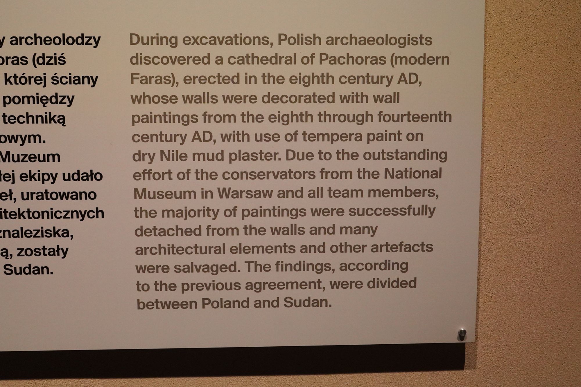 Polish National Museum in Warsaw III (102)