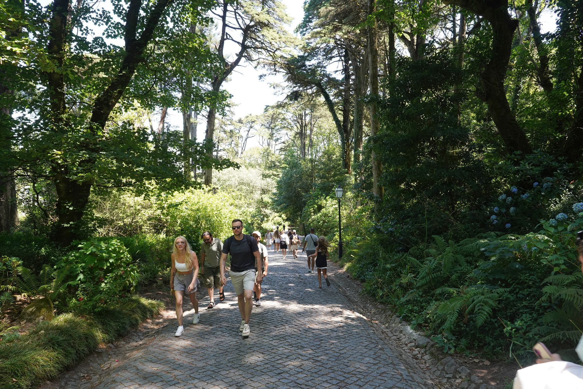Portugal Sintra Walk (41)